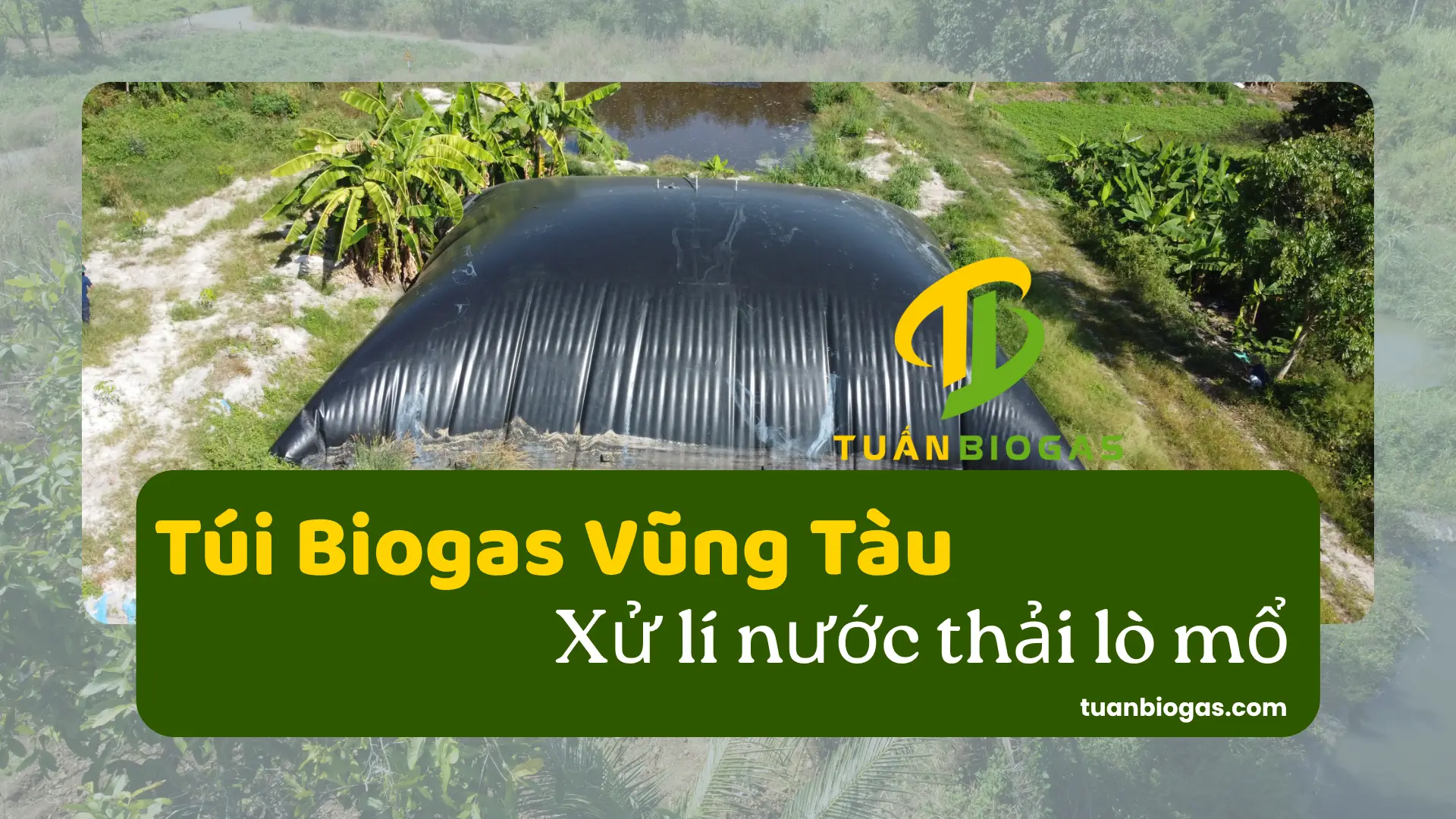 TÚI BIOGAS VŨNG TÀU – GIẢI PHÁP XỬ LÝ NƯỚC THẢI LÒ MỔ HIỆU QUẢ, TIẾT KIỆM CHI PHÍ